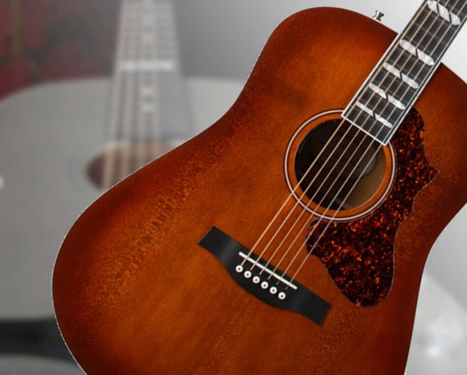 Godin acoustic top